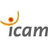 logo Icam, site de Lille